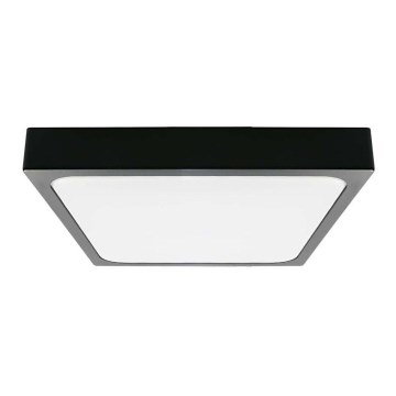 LED Koupelnové stropní svítidlo LED/18W/230V 3000K IP44 černá