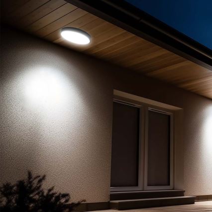 LED Koupelnové stropní svítidlo LED/18W/230V 3000K IP44 černá