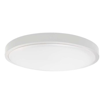 LED Koupelnové stropní svítidlo LED/18W/230V 3000K IP44 pr. 22,5 cm bílá