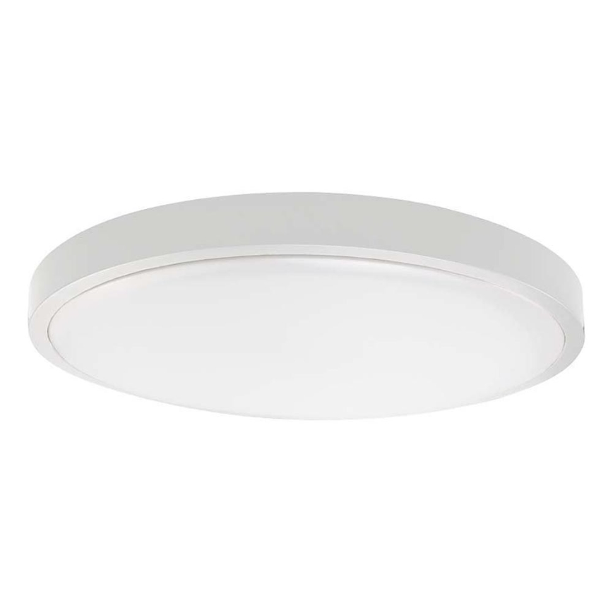 LED Koupelnové stropní svítidlo LED/18W/230V 3000K IP44 pr. 22,5 cm bílá