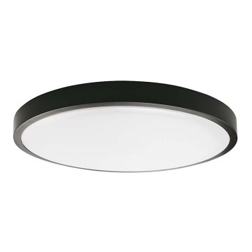 LED Koupelnové stropní svítidlo LED/18W/230V 3000K IP44 pr. 22,5 cm černá