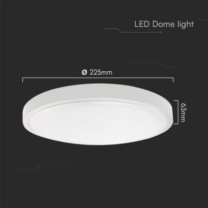 LED Koupelnové stropní svítidlo LED/18W/230V 4000K IP44 pr. 22,5 cm bílá