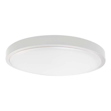 LED Koupelnové stropní svítidlo LED/24W/230V 4000K IP44 pr. 29,5 cm bílá