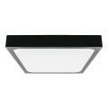 LED Koupelnové stropní svítidlo LED/30W/230V 3000K IP44 42x42 cm černá