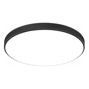 LED Koupelnové stropní svítidlo LOGAN LED/20W/230V 6000K IP44 pr. 26 cm černá
