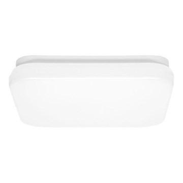 LED Koupelnové stropní svítidlo LUKY LED/12W/230V 4000K 24x24 cm IP44