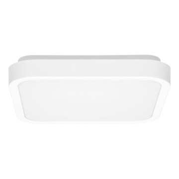 LED Koupelnové stropní svítidlo LUKY LED/12W/230V 4000K 25x25 cm IP44 bílá