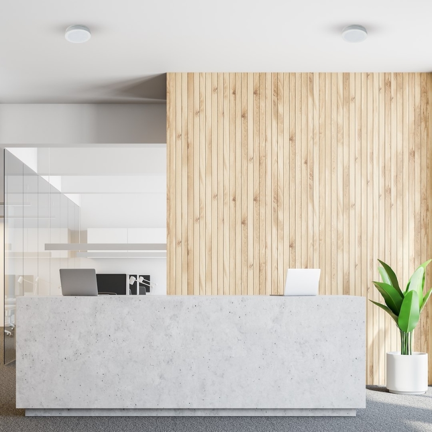 LED Koupelnové stropní svítidlo MARLON LED/12W/230V pr. 18 cm IP54 bílá