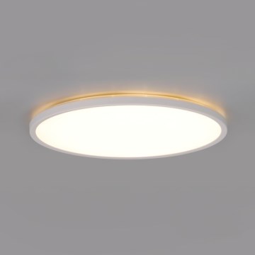 LED Koupelnové stropní svítidlo NIVERA LED/12W/230V IP54 3000/4000/6000K pr. 22,5 cm bílá