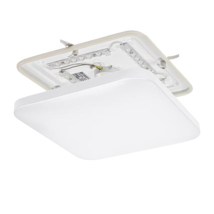 LED Koupelnové stropní svítidlo NYMPHEA LED/18W/230V 4000K IP44