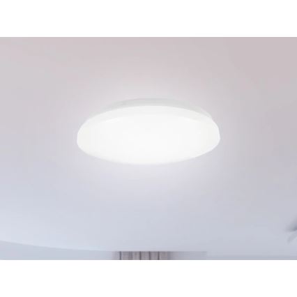 LED Koupelnové stropní svítidlo OPAL LED/12W/230V pr. 24,5 cm IP44 bílá