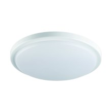 LED Koupelnové stropní svítidlo ORTE LED/18W/230V IP54