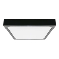LED Koupelnové stropní svítidlo se senzorem LED/18W/230V 4000K IP44 22,5x22,5 cm černá