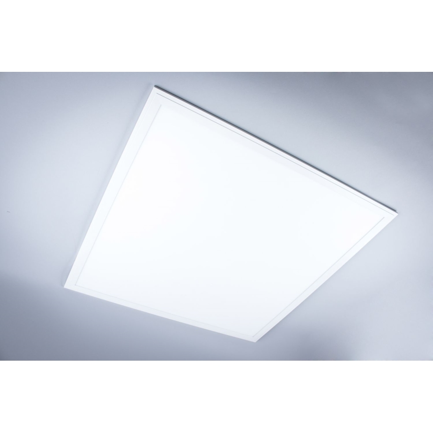 LED Koupelnový přisazený panel LED/40W/230V 4000K 59,5x59,5 cm IP65 bílá