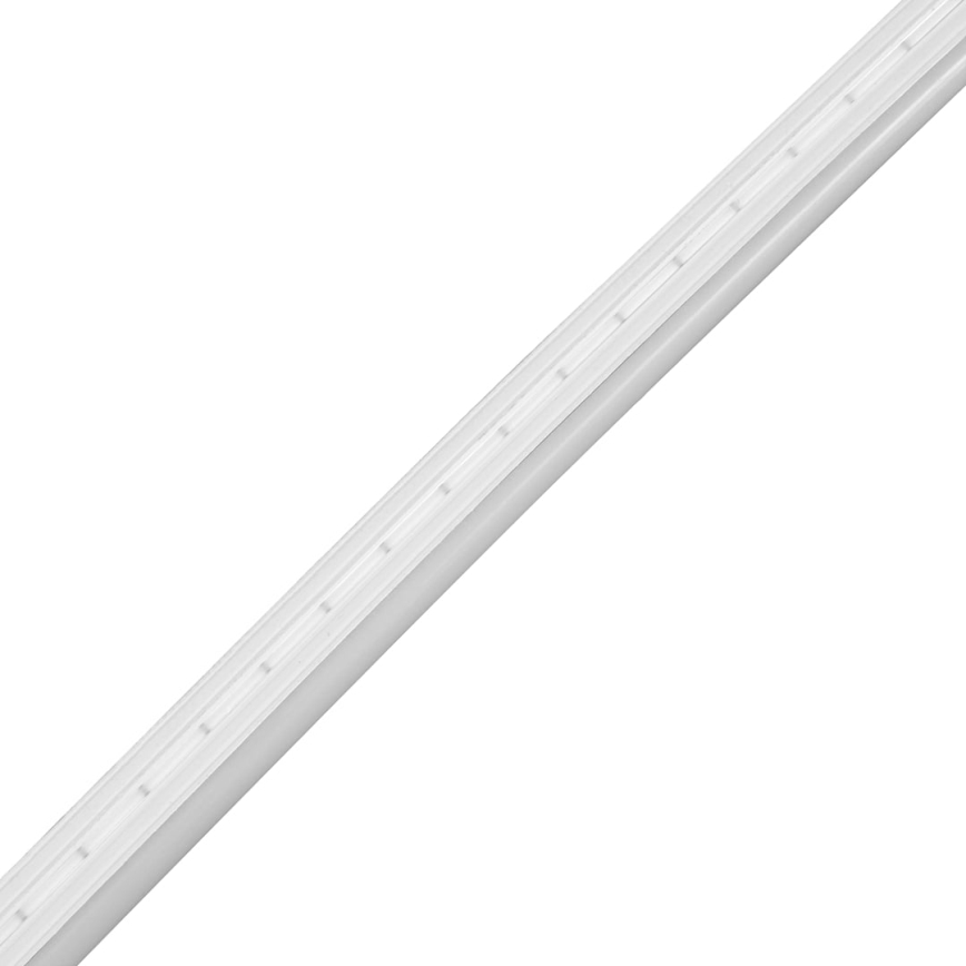LED Koupelnový pásek NEON EKO-FLEX LED/250W/12V 4000K IP65 25m bílá