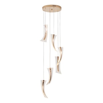LED Lustr na lanku 6xFIRENZE LED/10W/230V 3000K