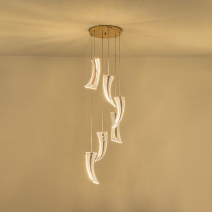 LED Lustr na lanku 6xFIRENZE LED/10W/230V 3000K