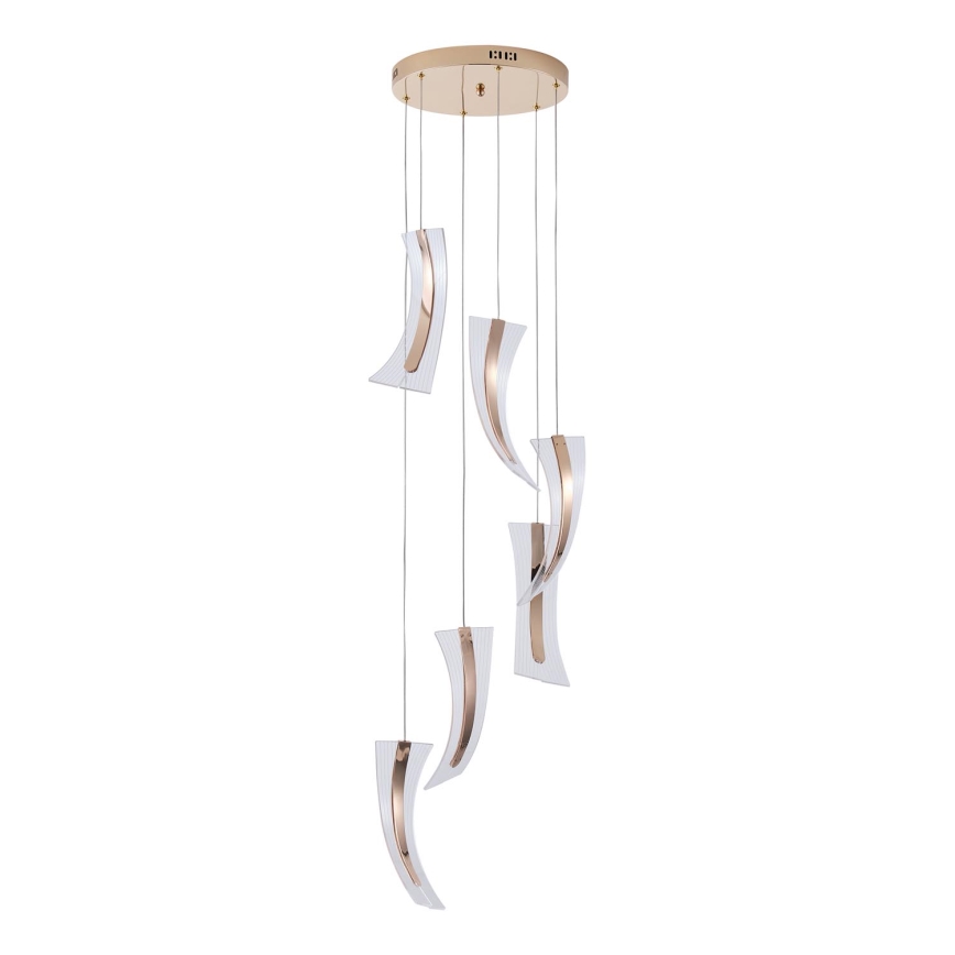 LED Lustr na lanku 6xFIRENZE LED/10W/230V 3000K