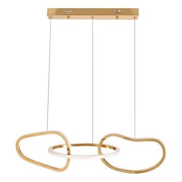 LED Lustr na lanku ANNELI LED/30W/230V 80 cm zlatá