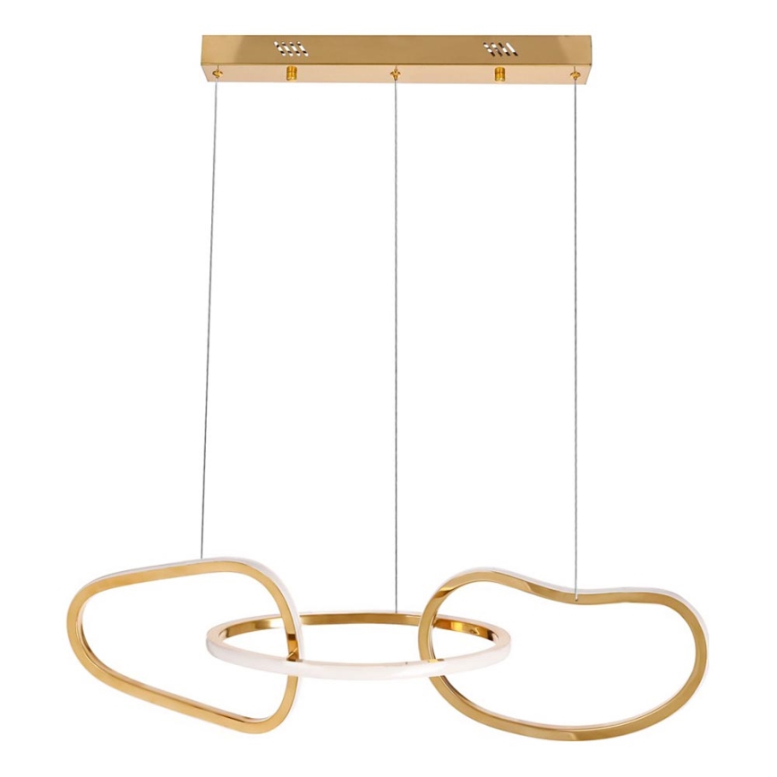 LED Lustr na lanku ANNELI LED/30W/230V 80 cm zlatá