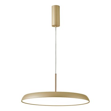 LED Lustr na lanku ART LED/41W/230V zlatá