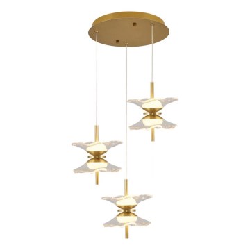 LED Lustr na lanku BUTTERFLY 6xLED/5W/230V 3000K zlatá