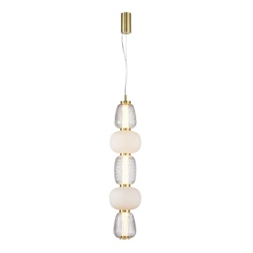 LED Lustr na lanku CARO LED/40W/230V zlatá