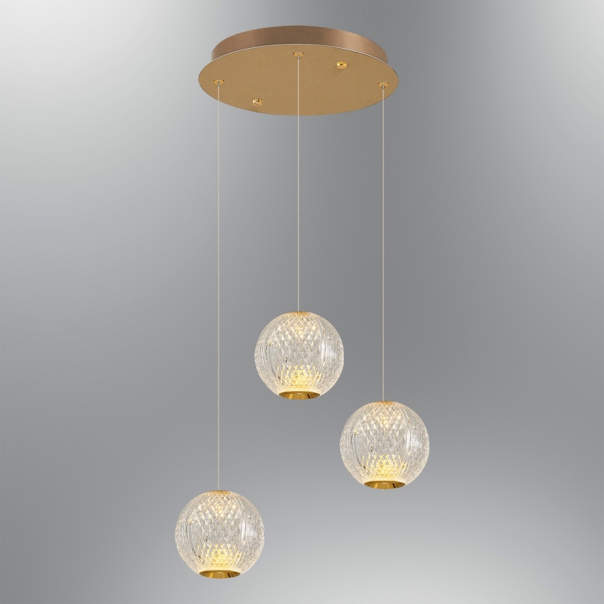 LED Lustr na lanku CREMONA 3xLED/5W/230V 3000K zlatá