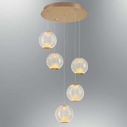 LED Lustr na lanku CREMONA 5xLED/5W/230V 3000K zlatá