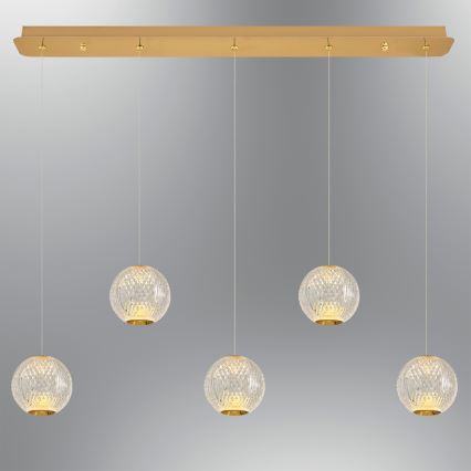 LED Lustr na lanku CREMONA 5xLED/5W/230V 3000K zlatá