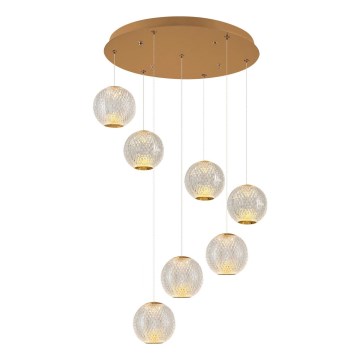 LED Lustr na lanku CREMONA 7xLED/5W/230V 3000K zlatá