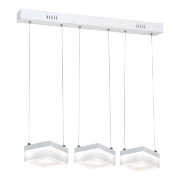 LED Lustr na lanku CUBO 3xLED/12W/230V čtverec