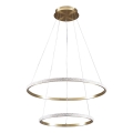 LED Lustr na lanku DIANA LED/44W/230V 4000K pr. 59 cm zlatá