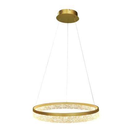 LED Lustr na lanku GALA LED/25W/230V pr. 50 cm zlatá