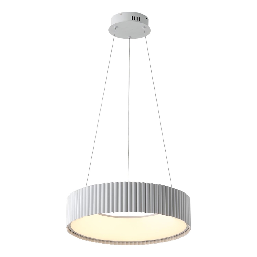LED Lustr na lanku HALLO LED/30W/230V 3000K bílá