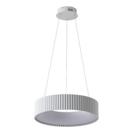 LED Lustr na lanku HALLO LED/30W/230V 3000K bílá