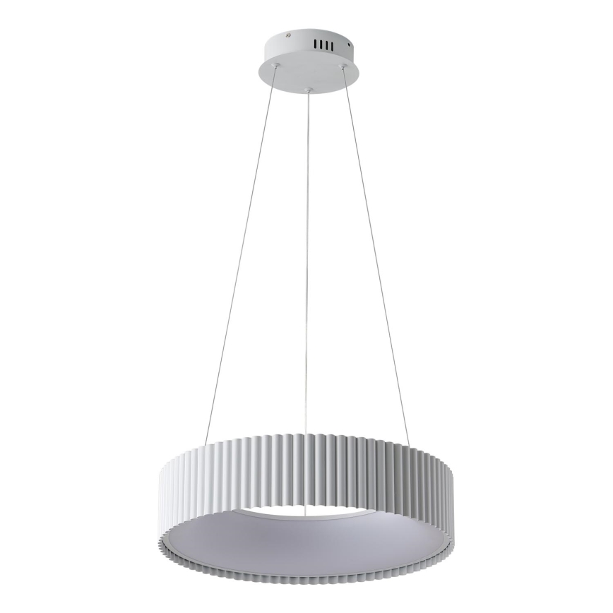 LED Lustr na lanku HALLO LED/30W/230V 3000K bílá