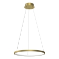 LED Lustr na lanku HOOP LED/27W/230V pr. 50 cm 4000K zlatá