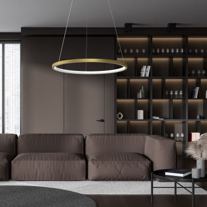 LED Lustr na lanku HOOP LED/27W/230V pr. 50 cm 4000K zlatá