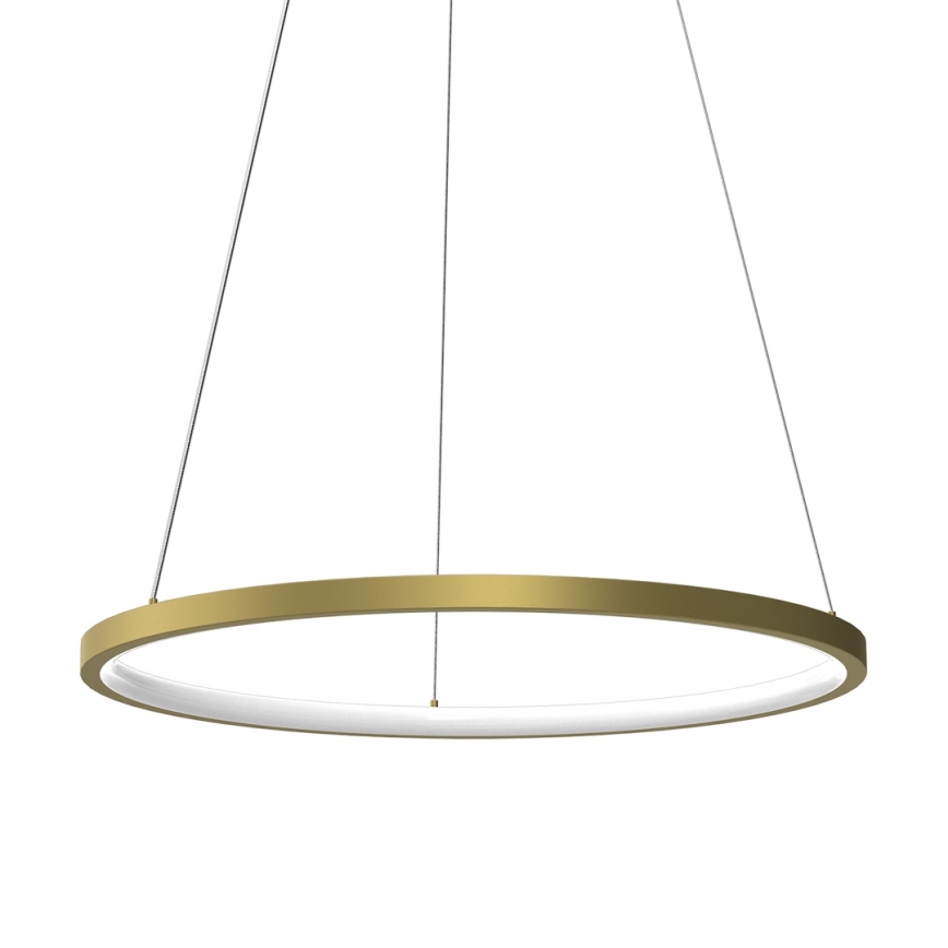 LED Lustr na lanku HOOP LED/27W/230V pr. 50 cm 4000K zlatá