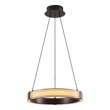 LED Lustr na lanku JESI LED/2W/230V 3000K hnědá