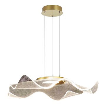 LED Lustr na lanku LARGO LED/16W/230V zlatá