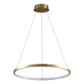 LED Lustr na lanku LEA LED/20W/230V 4000K pr. 50 cm zlatá