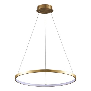 LED Lustr na lanku LEA LED/20W/230V 4000K pr. 50 cm zlatá