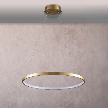 LED Lustr na lanku LEA LED/20W/230V 4000K pr. 50 cm zlatá