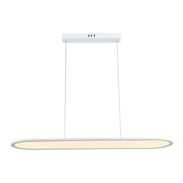 LED Lustr na lanku LED/24W/230V 3000K bílá