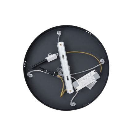 LED Lustr na lanku LED/38W/230V 3000K