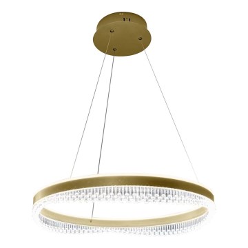 LED Lustr na lanku LED/52W/230V pr. 60 cm zlatá
