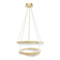 LED Lustr na lanku LED/85W/230V pr. 60 cm zlatá