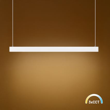 LED Lustr na lanku LINEA LED/36W/230V 3000/4000/5700K CRI 90 bílá